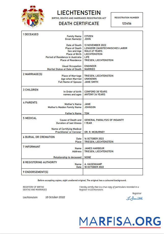 Blank Liechtenstein vital record death certificate Word and PDF template